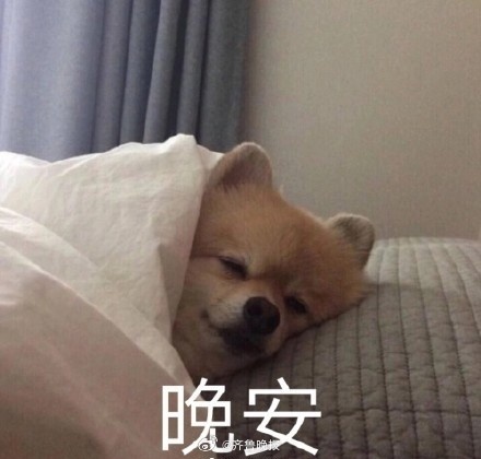 美好的生活大概就是，白天可以有说有笑，晚上可以睡个好觉。#晚安# ​​​