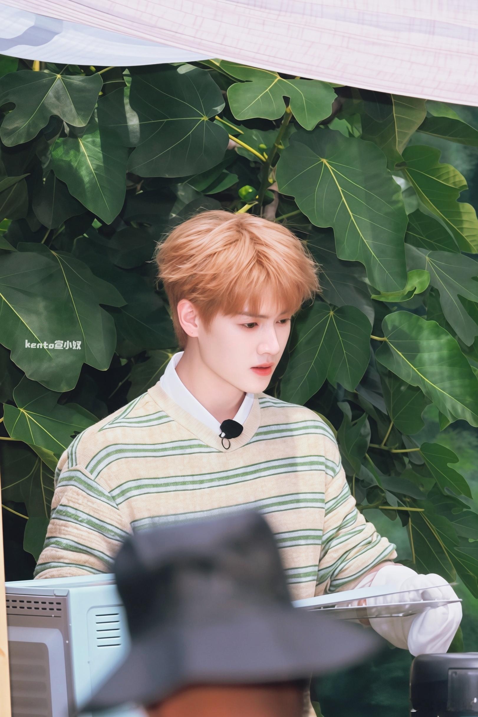 李昀锐耀眼💗李昀锐邢武 世间百味，不过是你一笑一颦间的情深意长。甜在心头，酸在