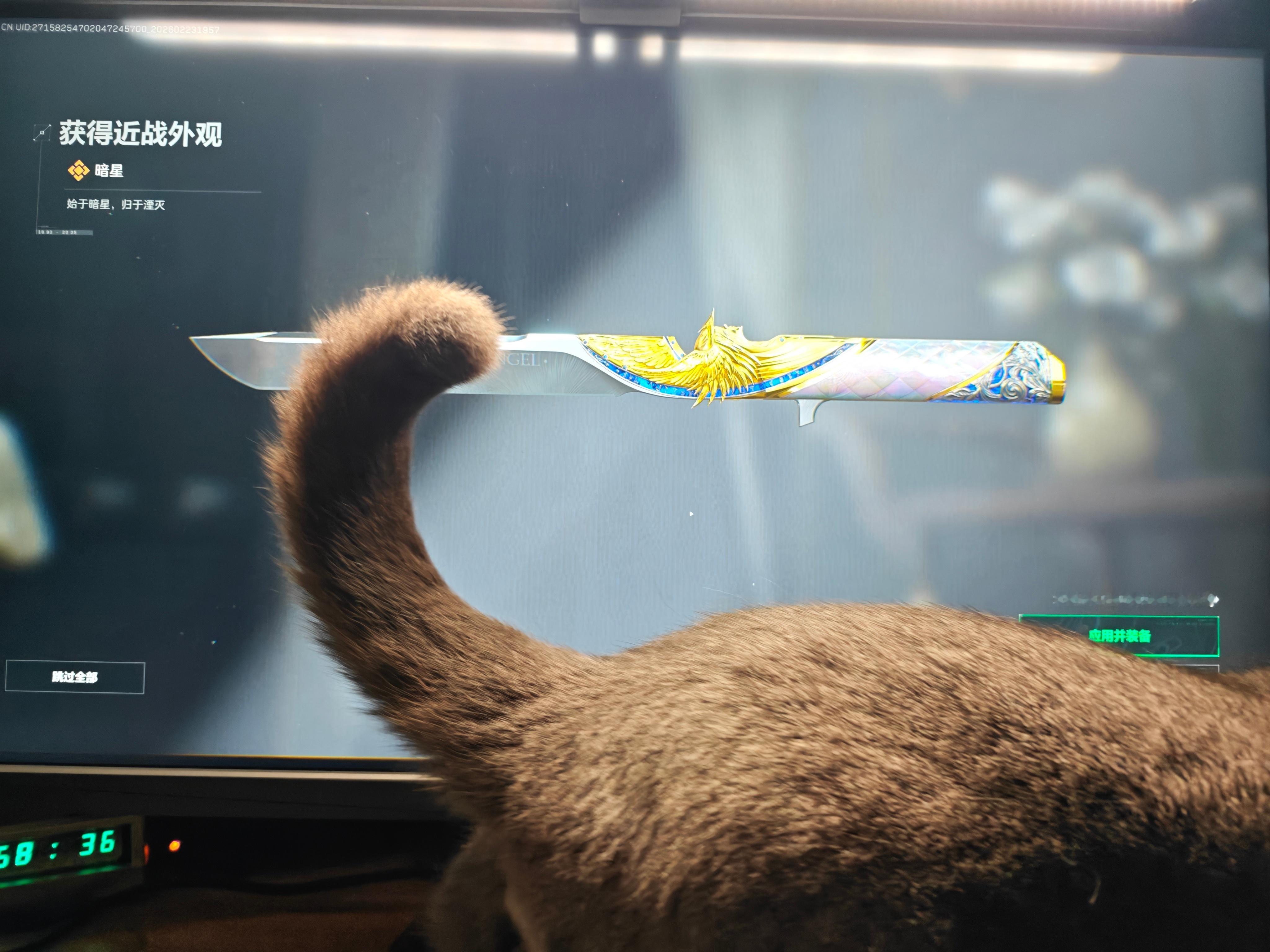 第一次买没法切水果的刀 