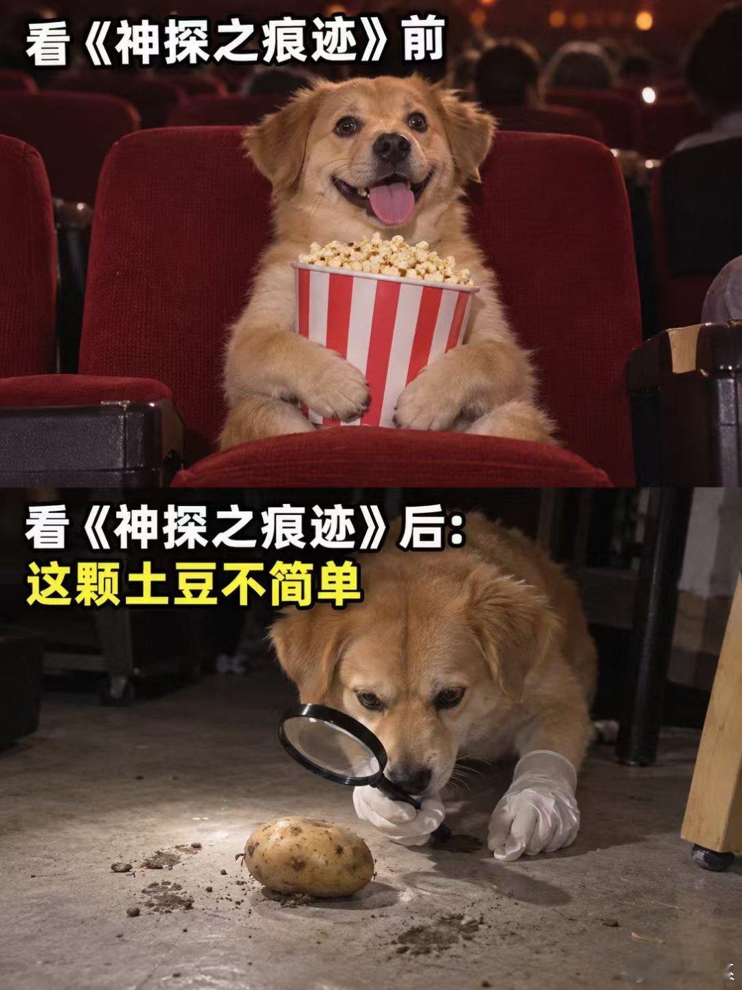 神探之痕迹邪不压正 没有灵光一闪的破案套路！《神探之痕迹》里的干警日复一日比对痕