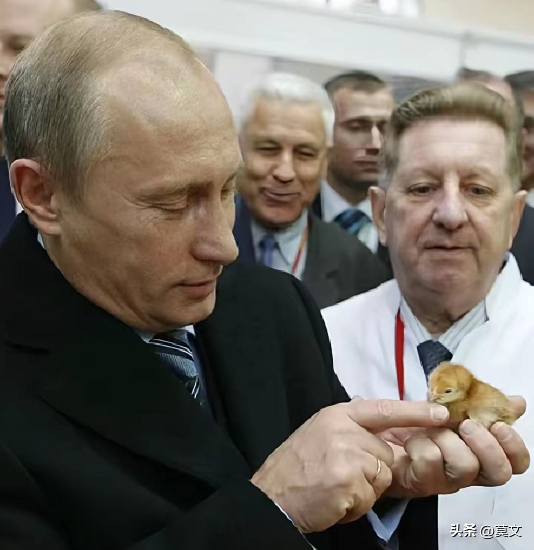 别装了！俄罗斯对伊朗的“暗助”，早已不是秘密
 
美伊战火烧了8天，最耐人寻味的