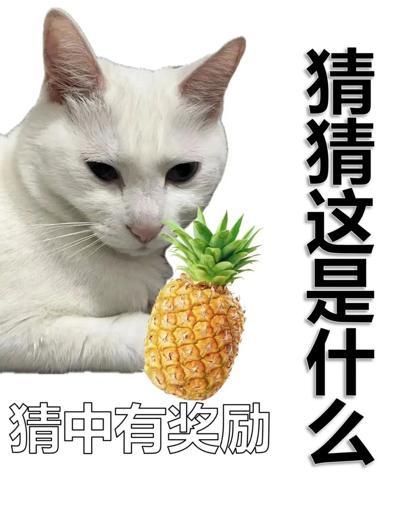每天一条冷知识 菠萝和凤梨其实是同一种水果，它们的关系就像苹果中的红富士和阿克苏