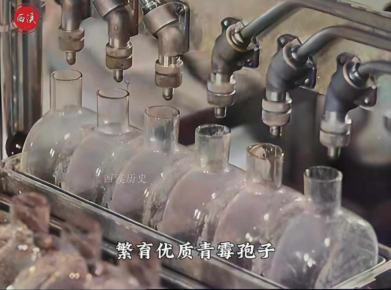 1945年，青霉素批量生产，挽救百万伤兵，黑市卖到黄金的数十倍，我国农村在八十年