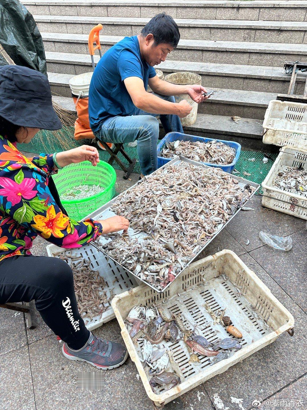 新打上来的海鲜长啥样？大家没见过吧？看看就是图片这样，一大堆乱七八糟的东西混在一