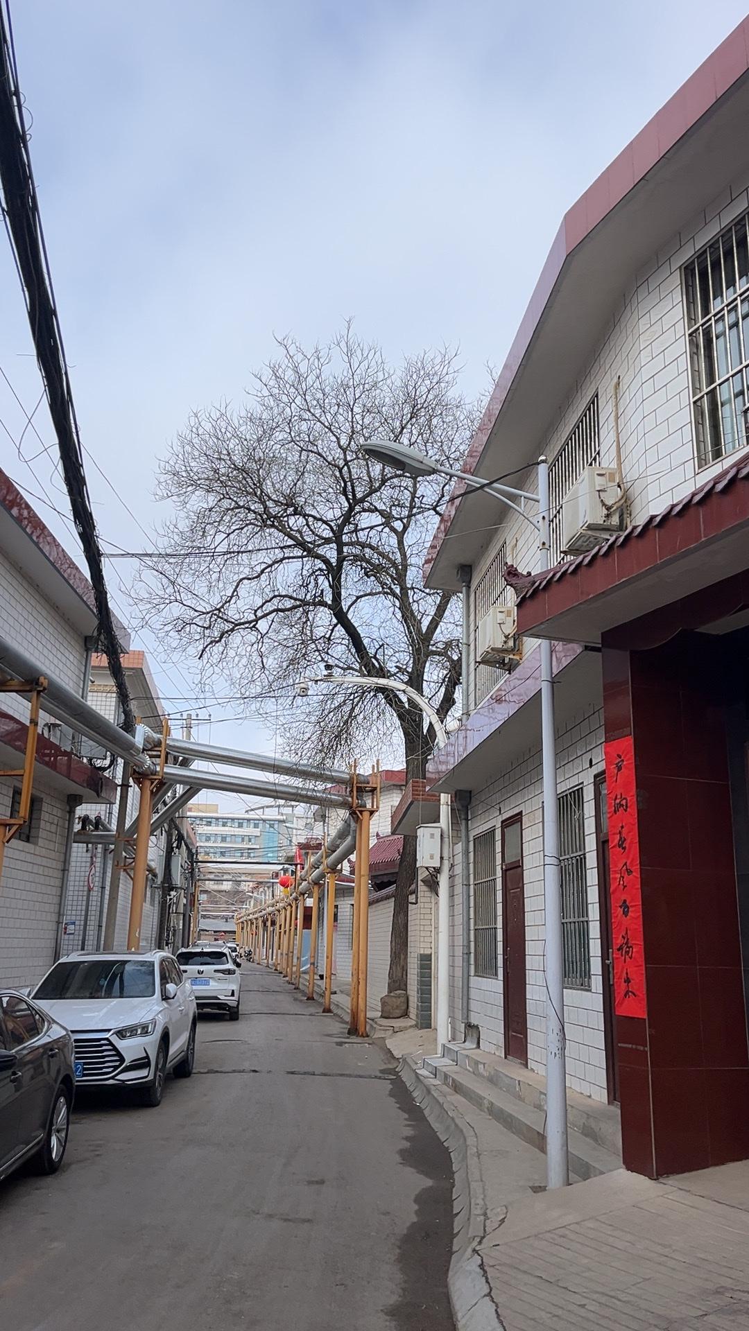 这个年你们过得开心吗？但对我来说，这个年过得挺窝屈的。今年过年吃饭的时候，就有那