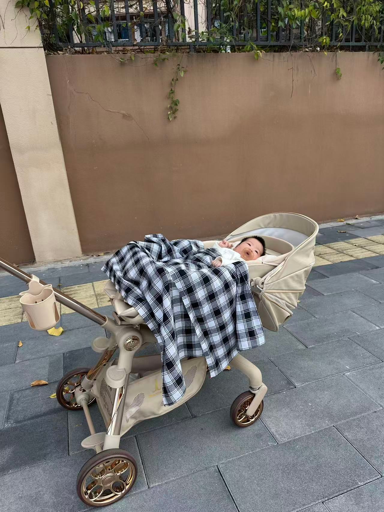 早起溜达.[太阳]  ​​​
