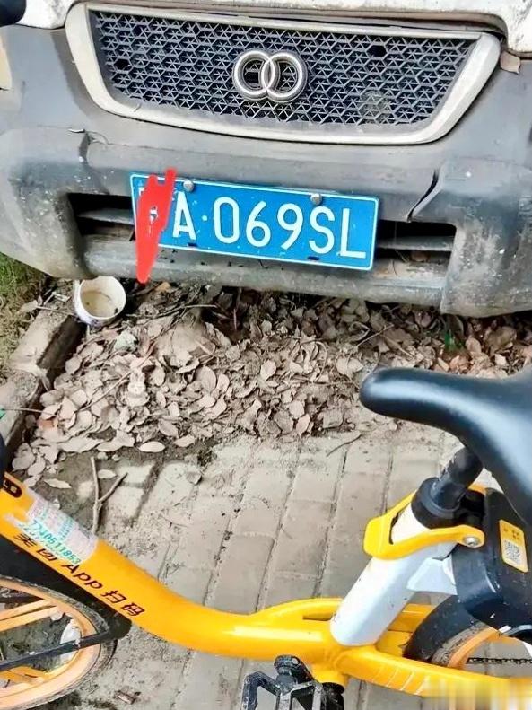 这是什么车？奥迪？ ​​​