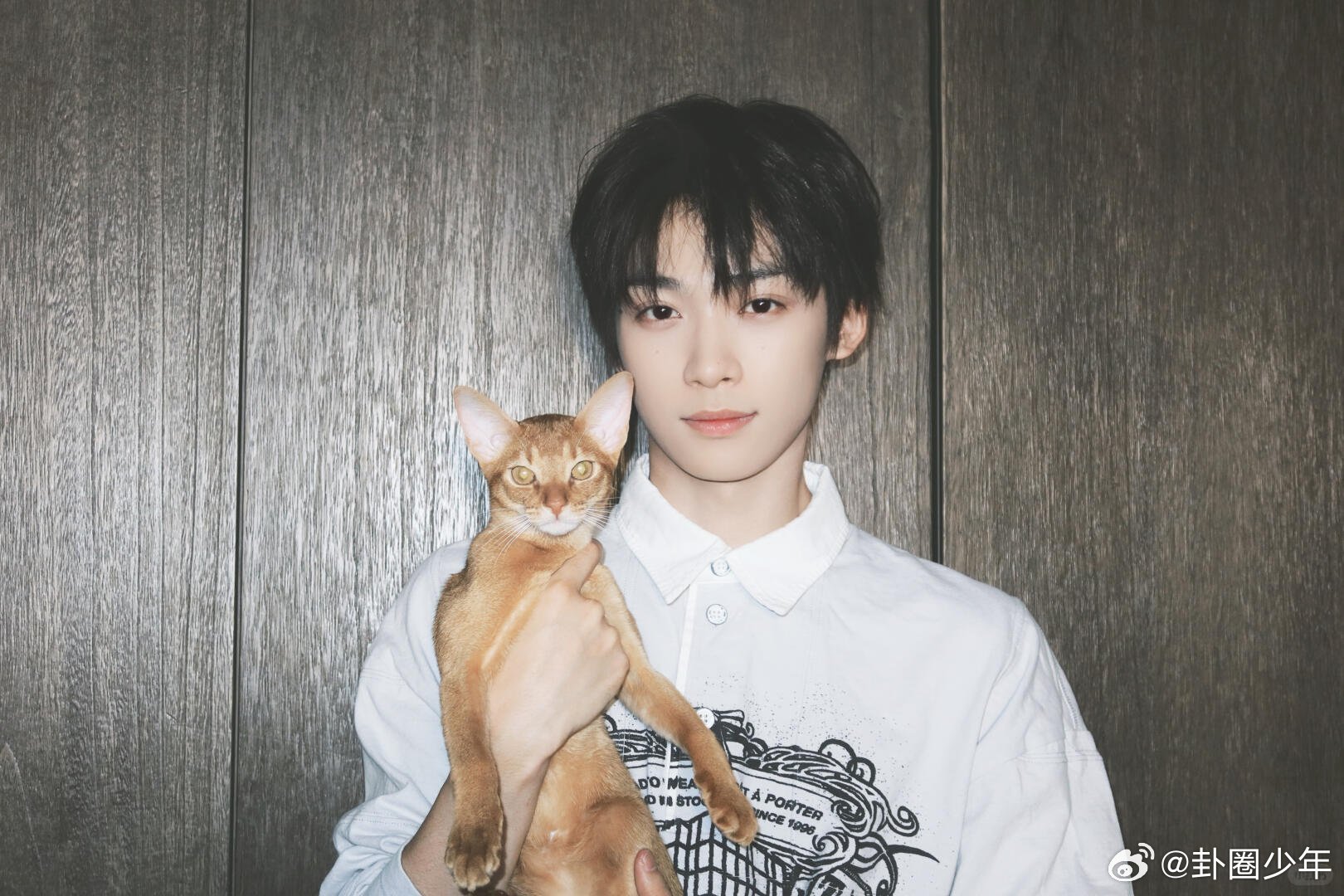 梓渝抱猫照利落黑发搭配简约穿搭，怀抱猫咪的模样温柔又松弛，干净又有魅力，氛围感直