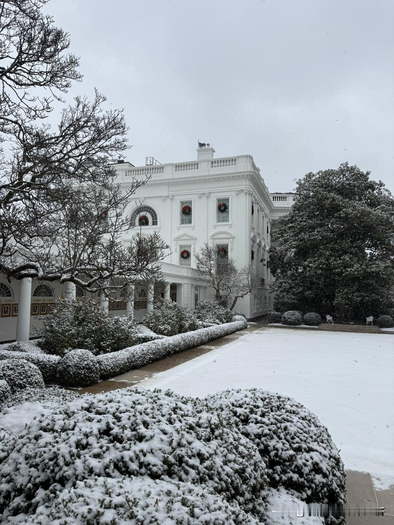12月6日，美国白宫白雪茫茫风景非常好看，谁能想到呢？美国竟然提前下雪了。树木在