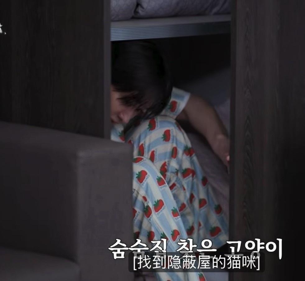 后期一直在沉浸式养糯糯猫 