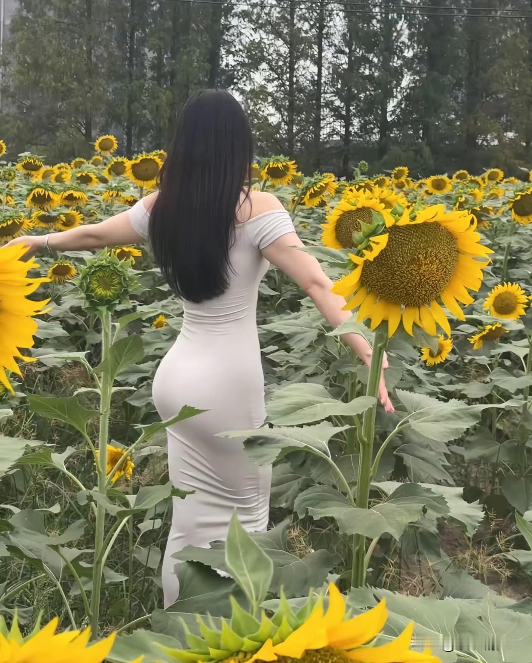 总要来一次向日葵花田吧～
满眼灿烂金黄，连风里都裹着温柔与治愈✨
一袭简约白裙，