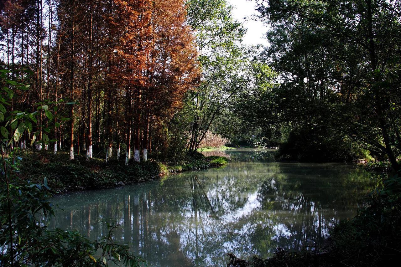 【桤木河湿地觅水杉】 20241204
29日12时离开板桥红枫林，前往桤木河湿