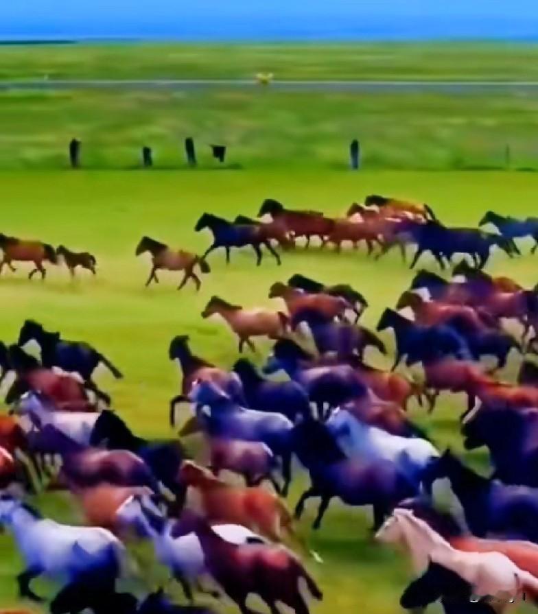 马年春联2，请出下联
上联：骏马奔驰骋学海
下联：？？？？？？？