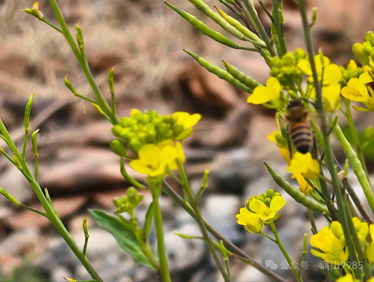 我的今日状态：😁轻松愉快
我这里的天气：🍂微风