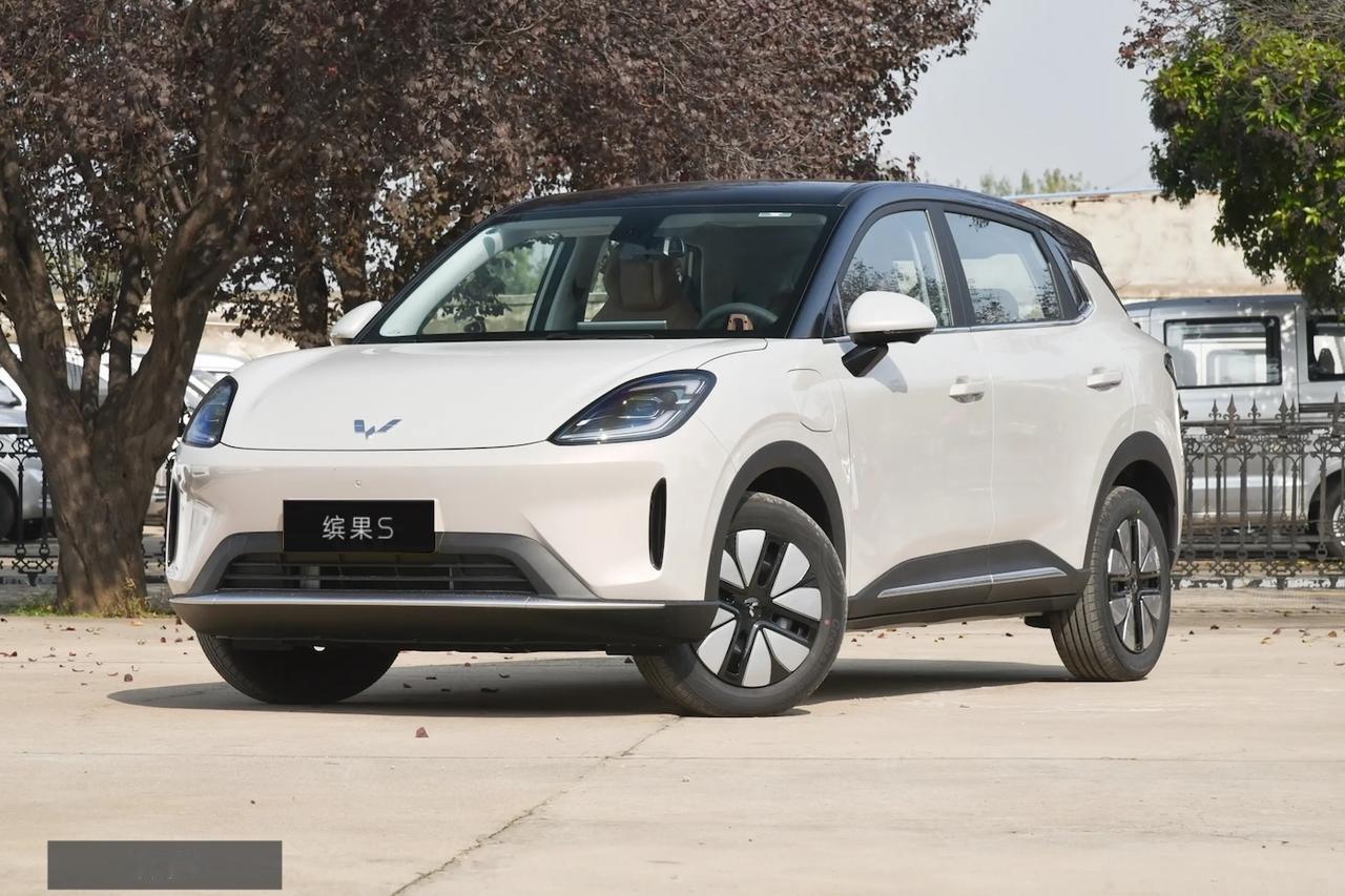 都是长续航、懂智能的A0级，缤果S与星愿谁更划算？

 
不知道各位对那种几万块