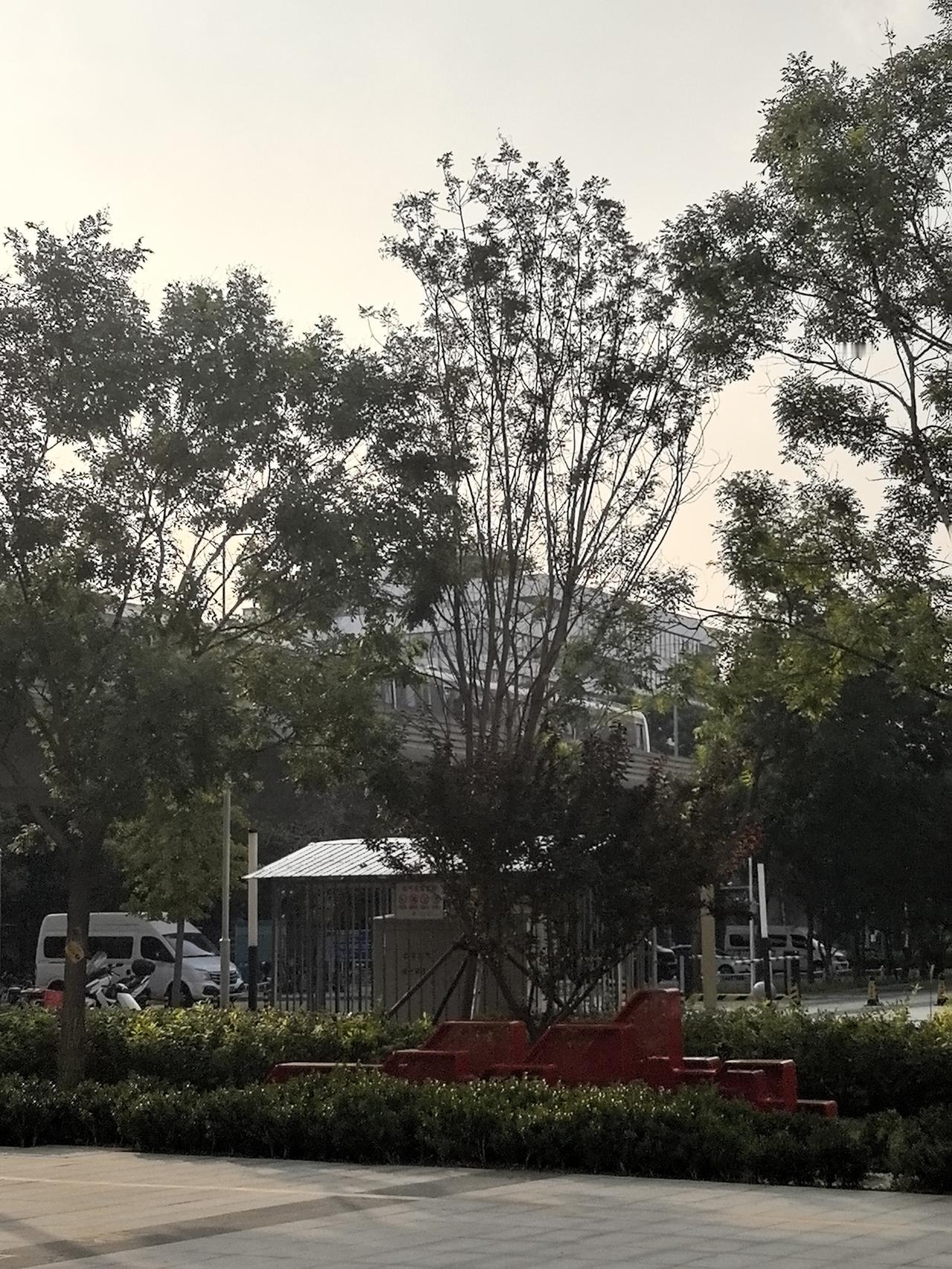 “多位数乘一位数”单元教材深度解读
 
一、单元核心定位：承上启下的“运算基石”