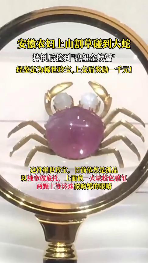 安徽农妇上山割草碰到大蛇，摔倒后捡到"碧玺金螃蟹"，经鉴定为稀世珍宝，上交后奖励