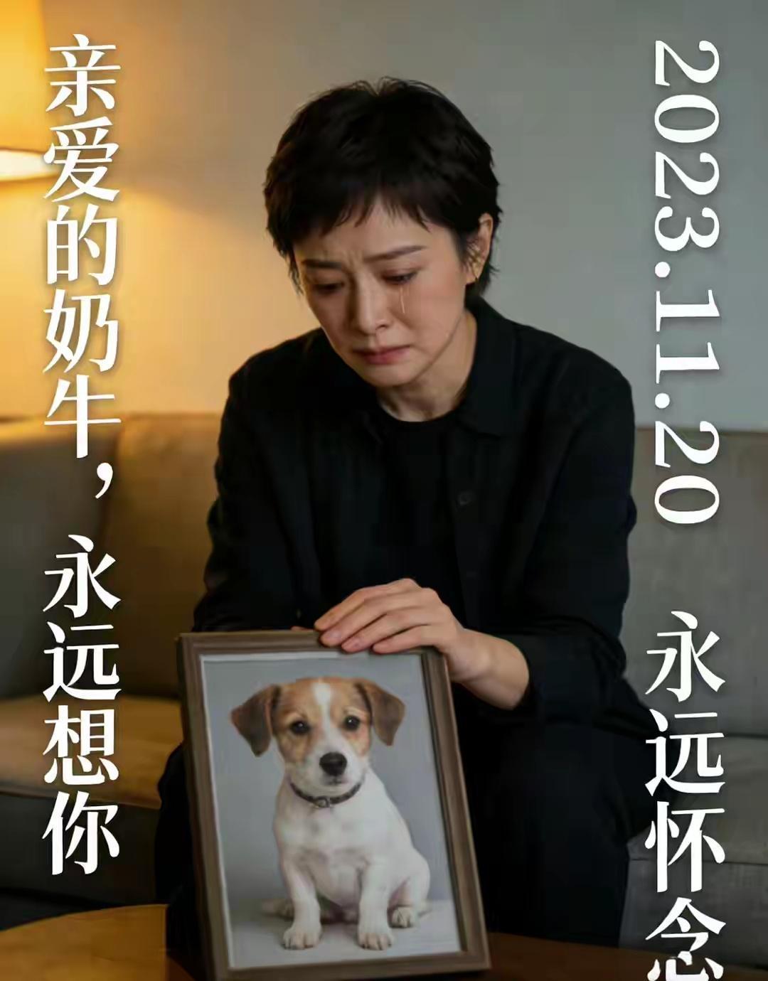 3月8日，孙俪突然在社交平台发布长文，官宣陪伴家人14年的小狗“奶牛”离世，瞬间