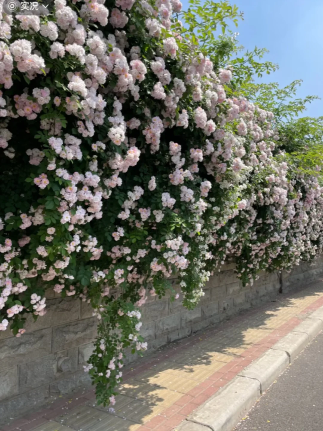 2026，丙午年注意休息爱自己