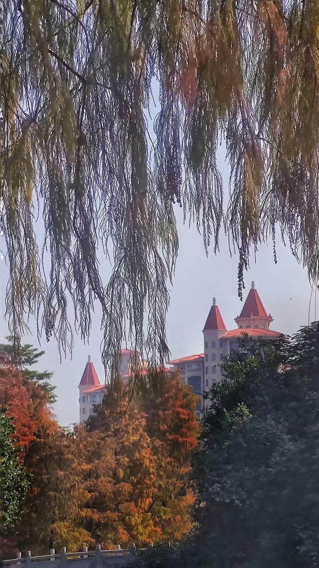 湖畔秋光好，楼红映碧霄。垂枝摇倩影，树彩竞妖娆。 