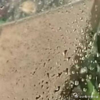 每日一善 ‖阳光信用 成功的路上并不拥挤，因为坚持下来的人并不多。不要被他人的质