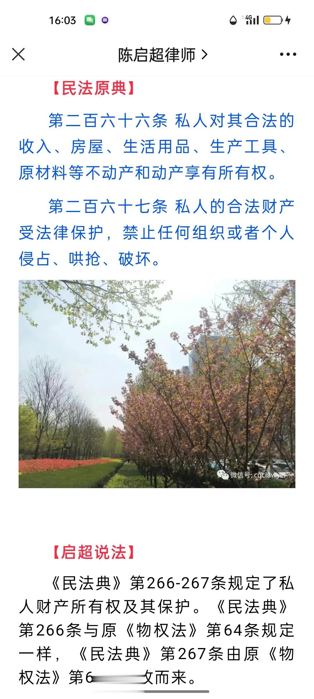 洮南市水利局，洮南市法院，洮南市检察院，洮南市公安局在黄善人寻衅滋事罪上，严重违