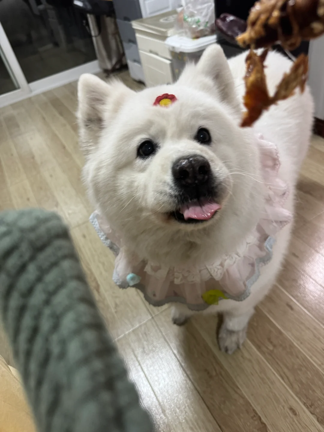 生活像一把无情刻刀 咪会吃掉刀片下的部分
