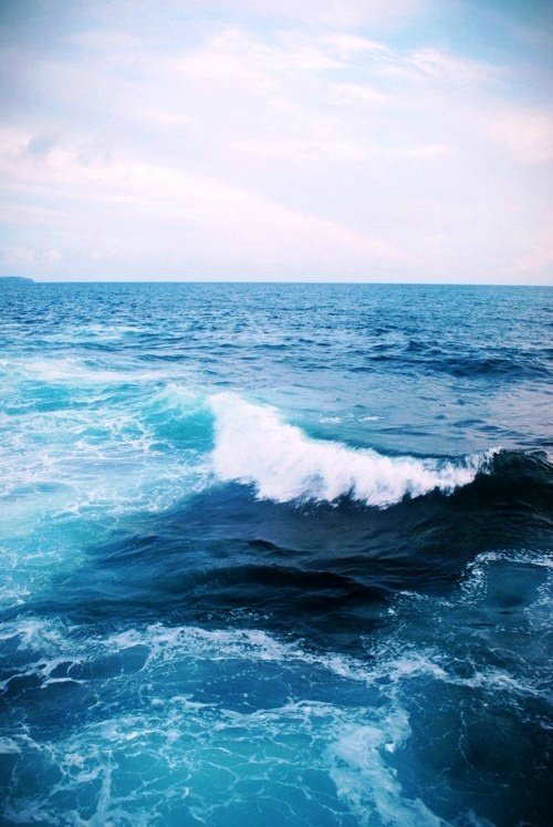 愿少年，乘风破浪，他日毋忘化雨功。——《徙》 