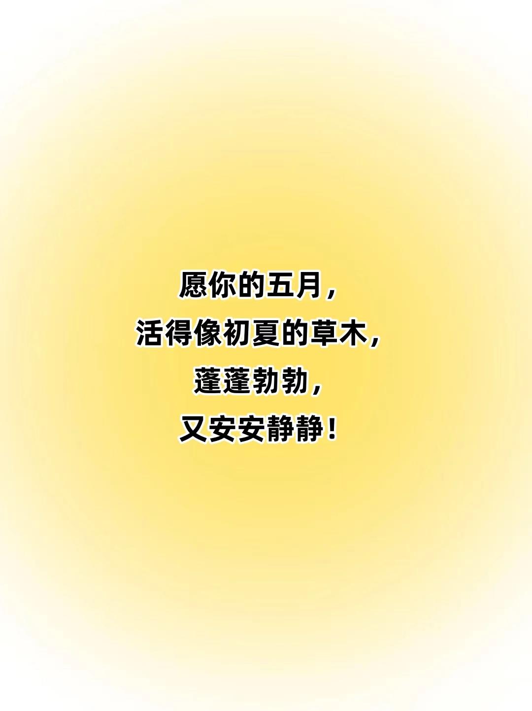 与其等风来，不如追风去。

四月成了背影，蝉声刚开始试音，风里带着不燥不热的清甜