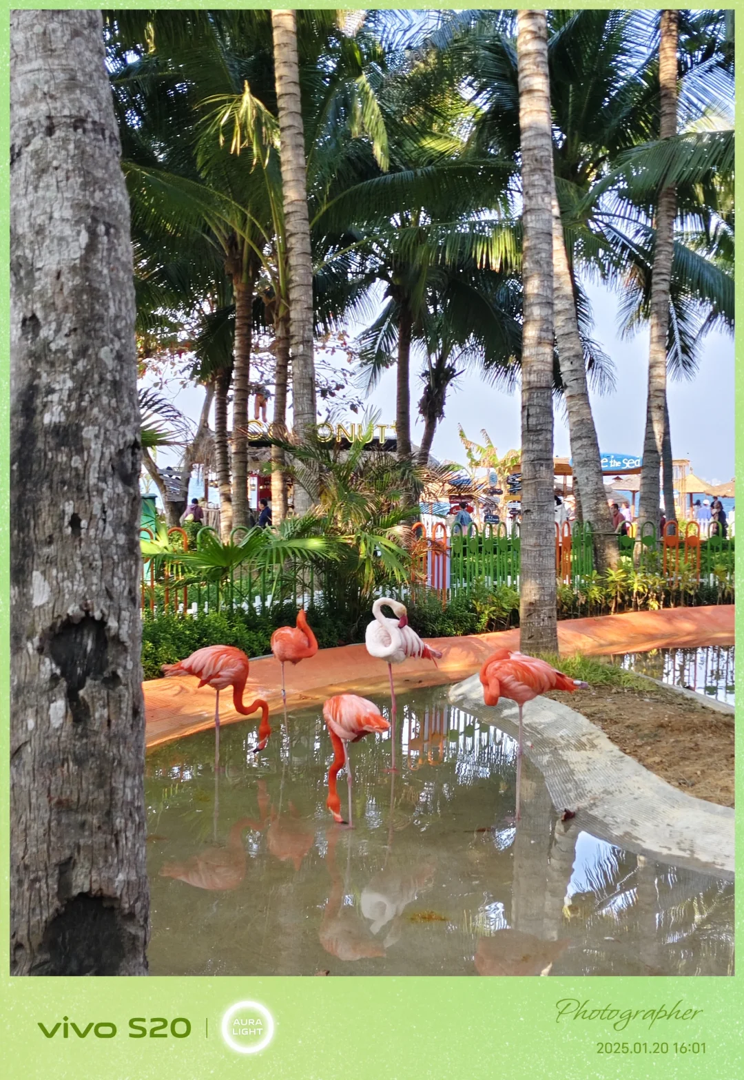 海南行第五天， 今天在蜈支洲岛玩，买的极限玩家套票，单人1800包含上岛门票，岛