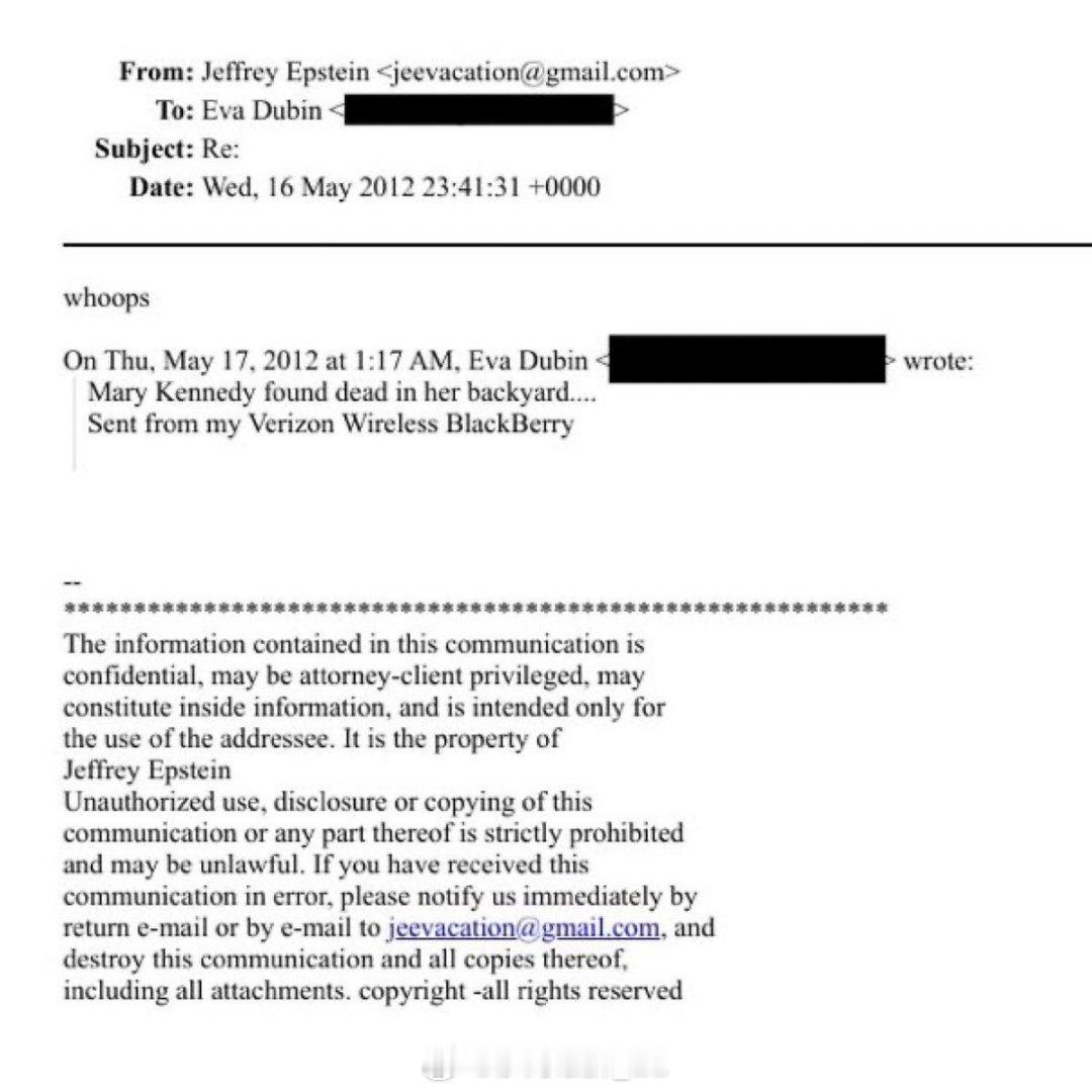 2012年，当小罗伯特·肯尼迪的第二任妻子玛丽·理查森·肯尼迪因丈夫保持一堆婚外