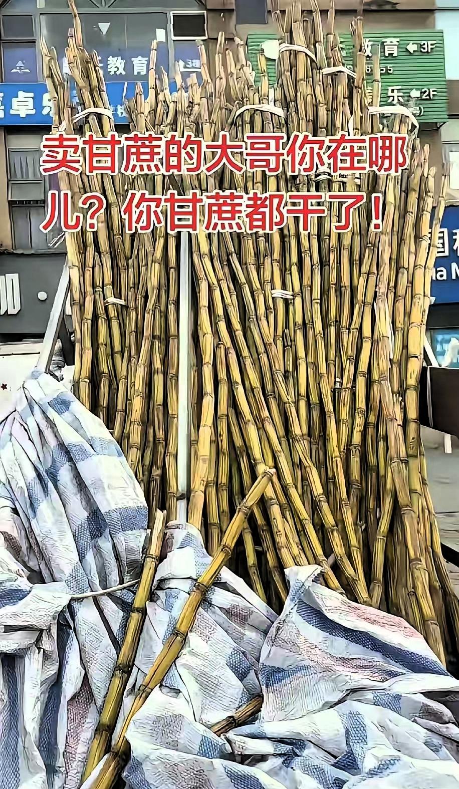 太暖心了，四川，一男子发现，楼下常年摆摊卖甘蔗的大哥从过年之后就没出摊了，三轮车