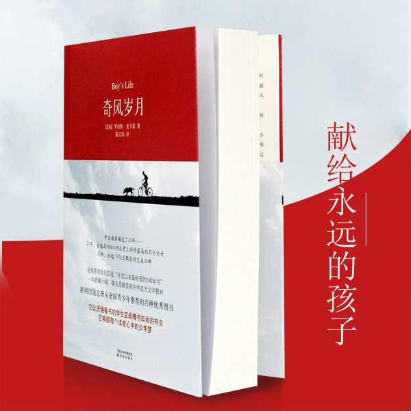 奇风岁月（是推理，是悬疑，是奇幻！也是深情动人的成长故事！）