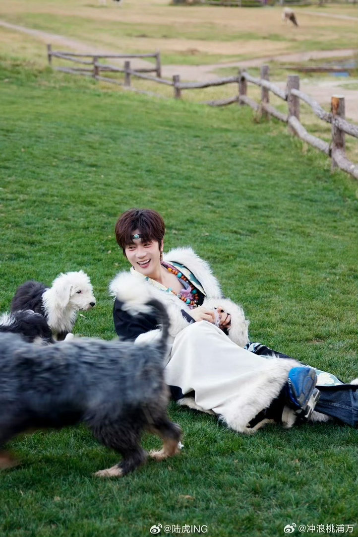 感性的人看日出也会落泪再就业男团共赴晨光之约。陆虎藏泪嘴硬，王栎鑫温柔拭眸，感性