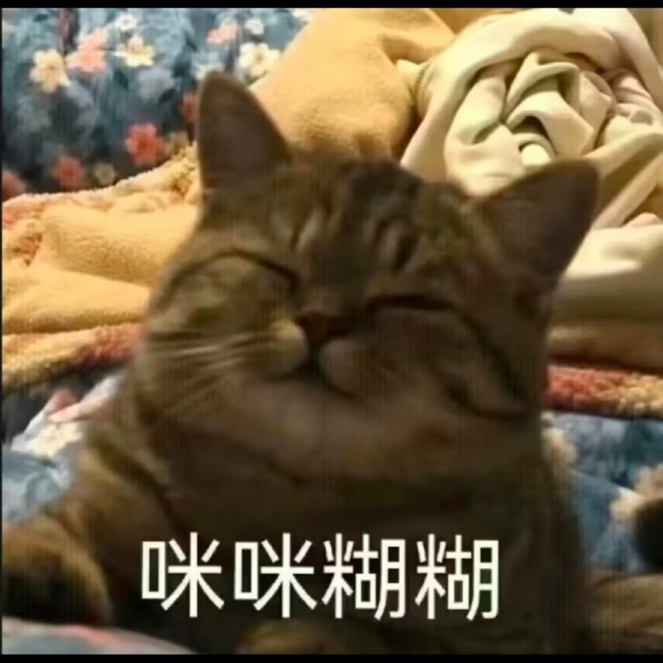 时至今日我还是好奇，谁研究出来的带【下地狱】防吞，完全无从下手的研究啊，天才来的