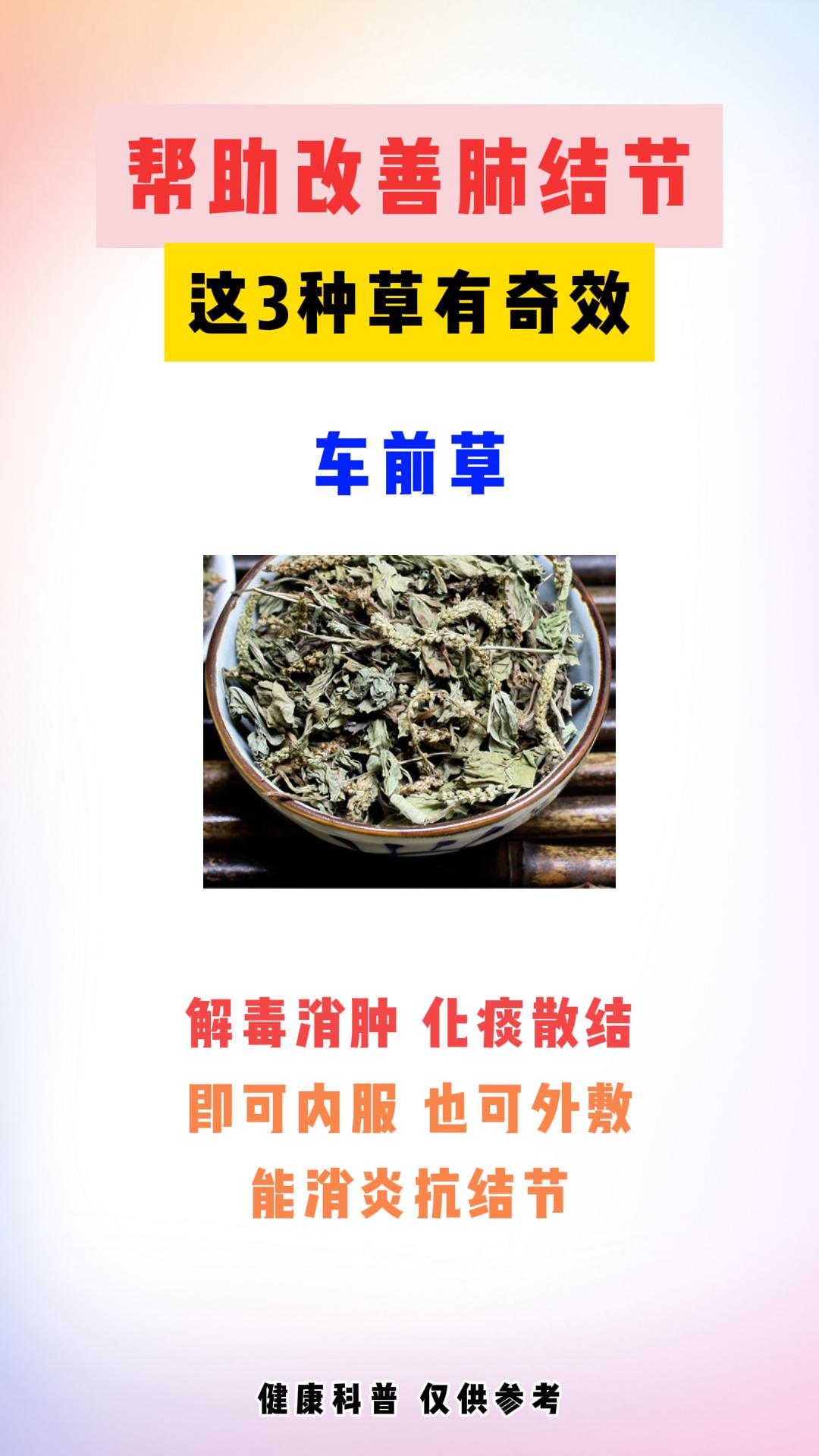 帮助改善肺结节的三种草。