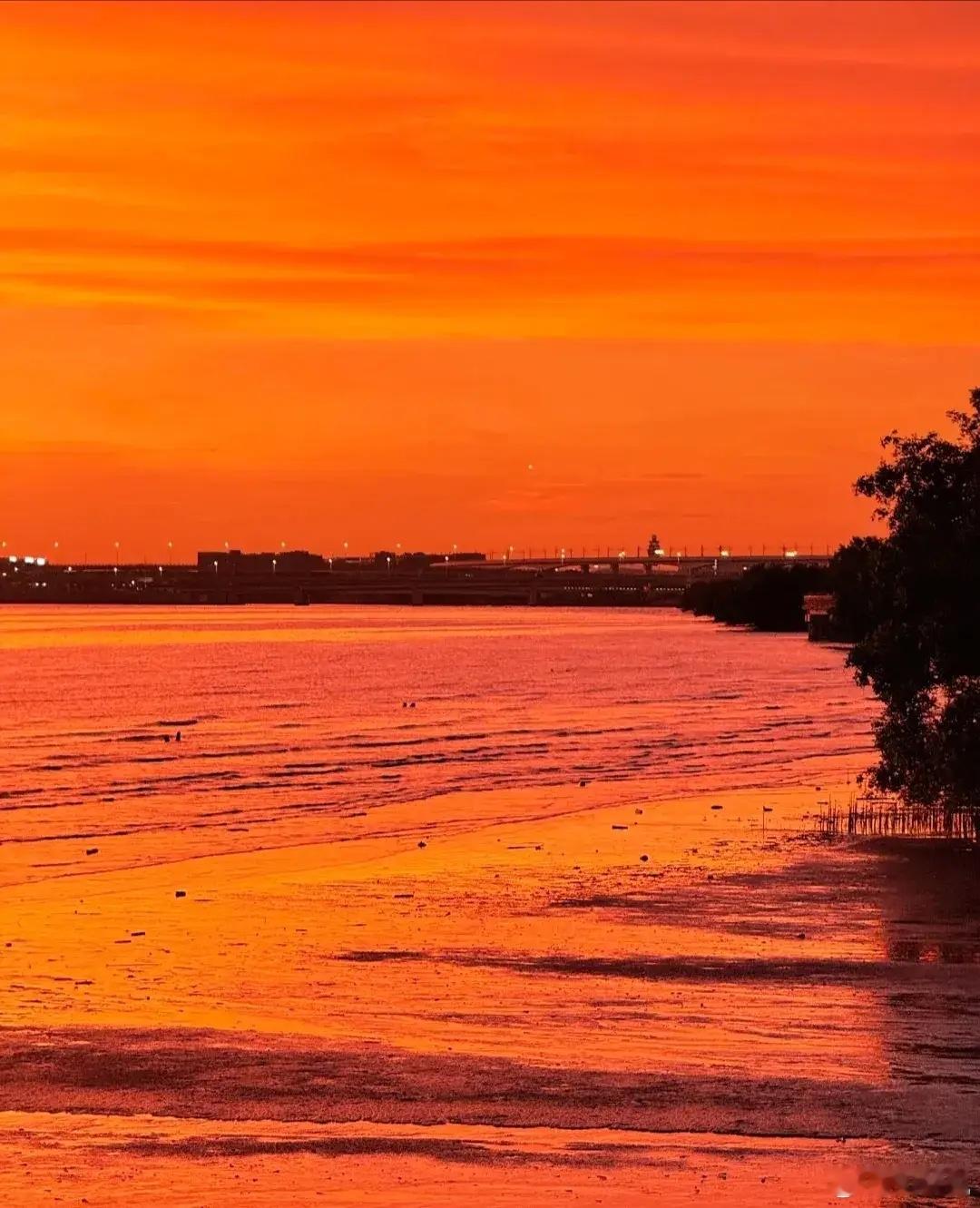 深圳晚霞夕阳无限好，只是进黄昏，今日份的深圳晚霞，收获今日份的美好 ​​​