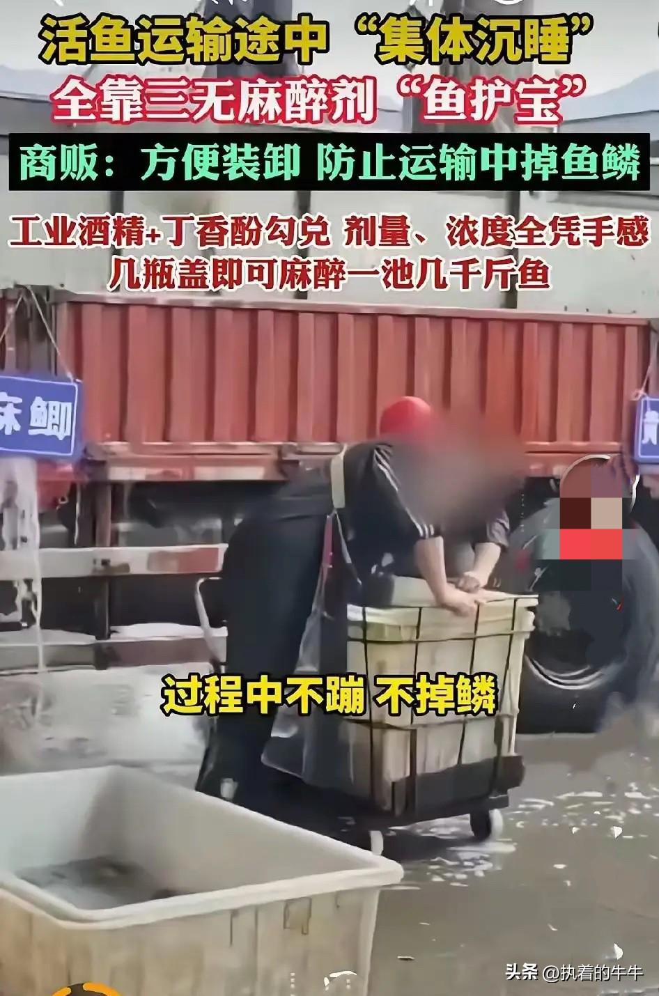 爱吃活鱼的人，
这回怕是要倒尽胃口了。
重庆、山东、安徽几地的水产市场，为了让鱼