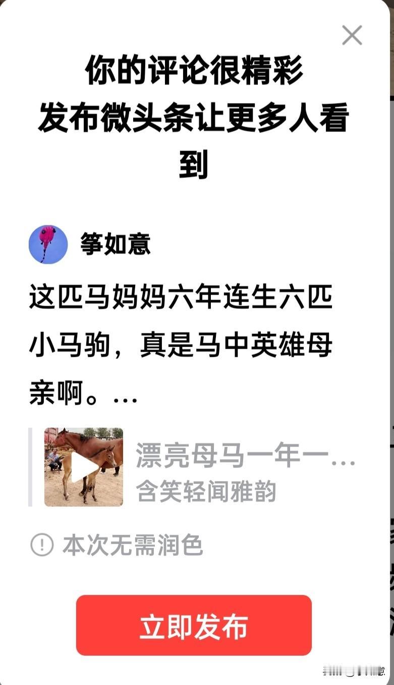 这匹马妈妈六年连生六匹小马驹，真是马中英雄母亲啊。
令主人喜欢的不行，这不正在给
