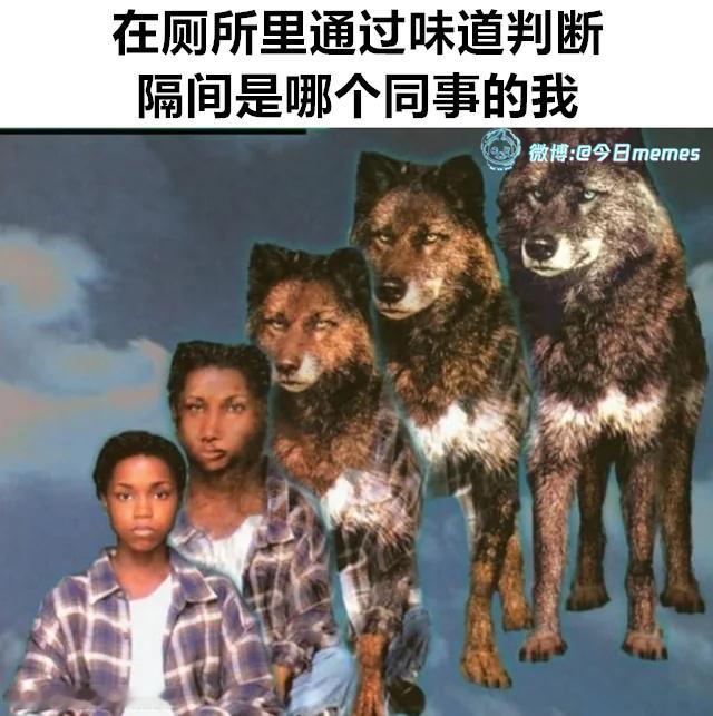吃的蛋黄（9gag）今日meme今日memes