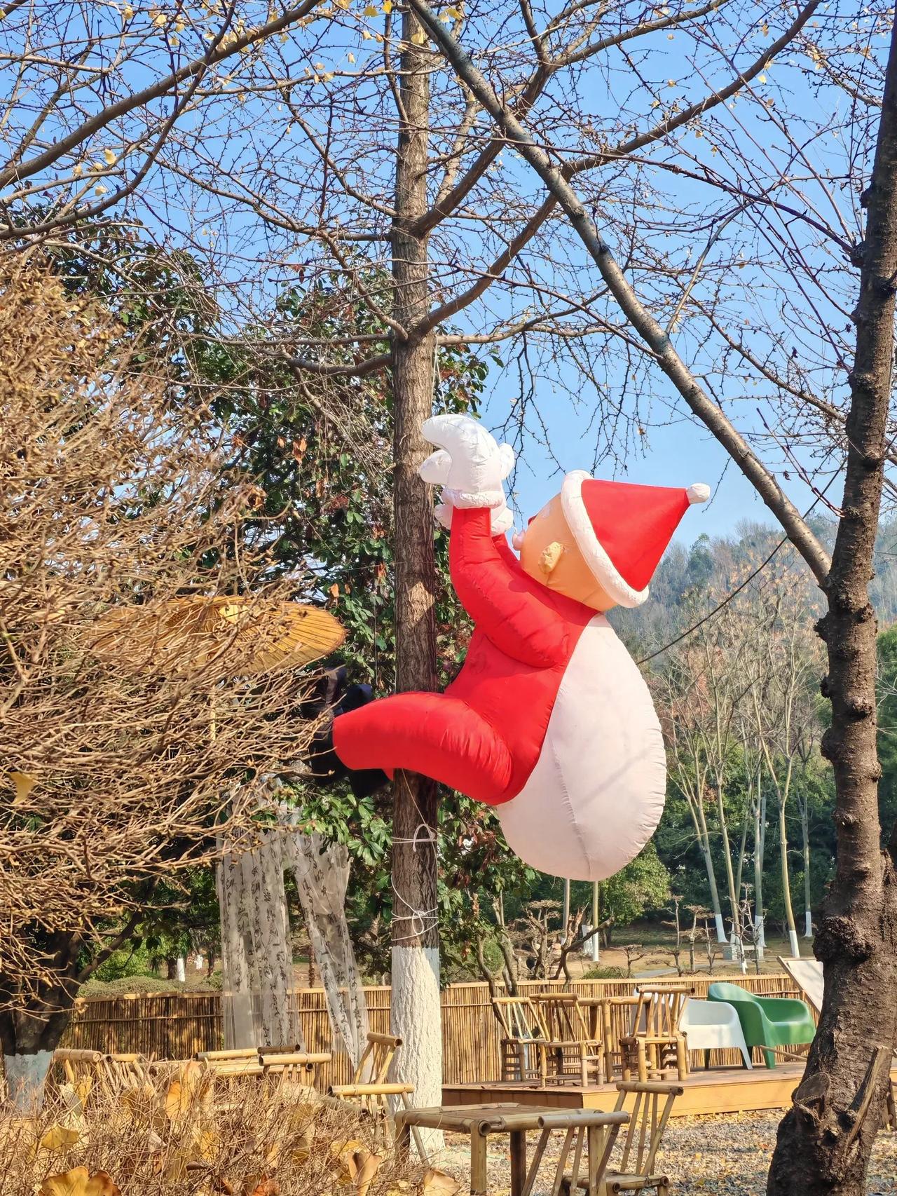 记录我的12月今天下午去武汉市马鞍山森林公园散步，看到森林书房摆上了圣诞老人，这