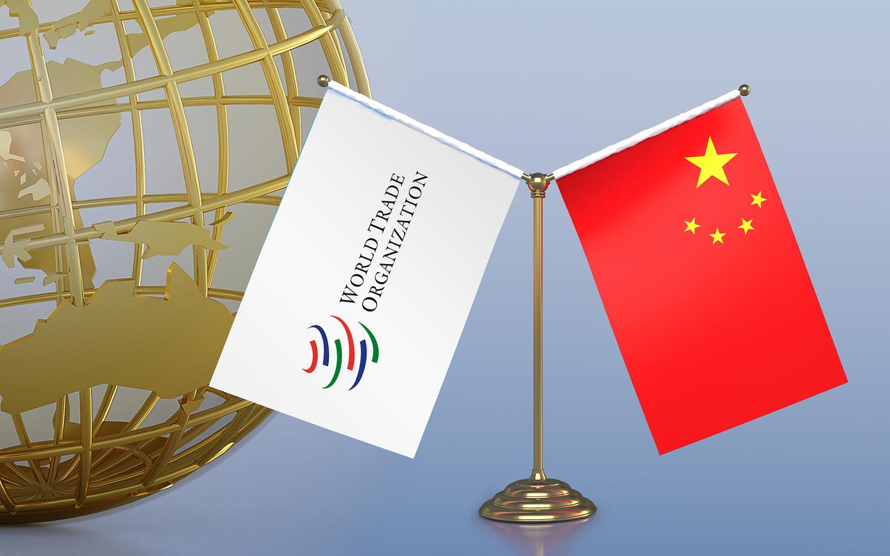 最近有个大聪明在短视频平台的直播间里胡说八道，他的观点就是：中国是加入WTO之后