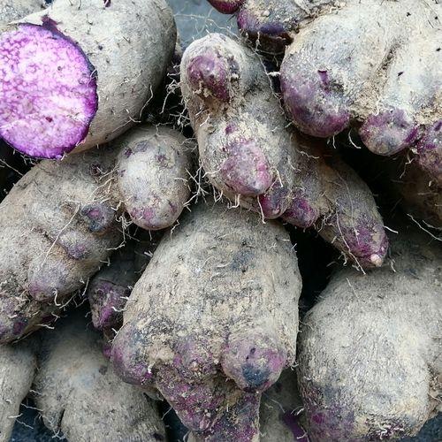 脚板薯，曾经是农民的