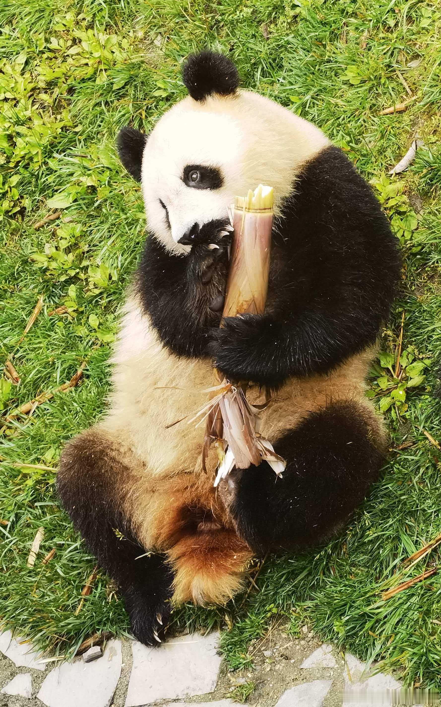 我慢慢学会了闭口不言，不再事事争辩对错。不再强求旁人站在我的处境里共情，每个人的