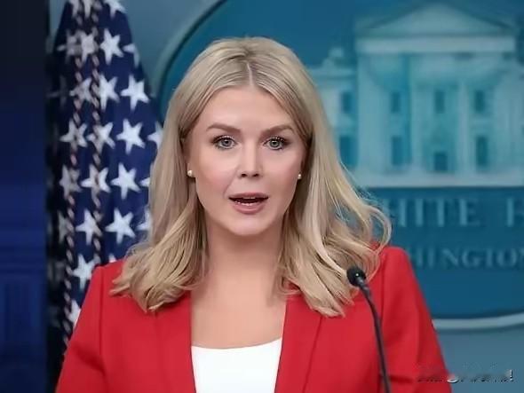 美伊谈判谈的如何？
美国白宫发言人莱维特如是说！

莱维特说
美伊谈判
取得一定