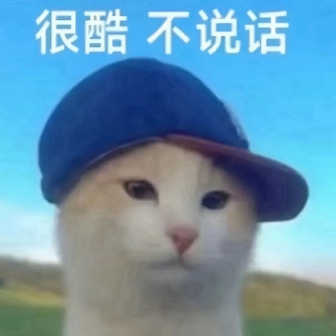 在我这粉见里玩耍有个大原则，可以发表不同意见但是不能在我这耍无赖，也不能在我这学