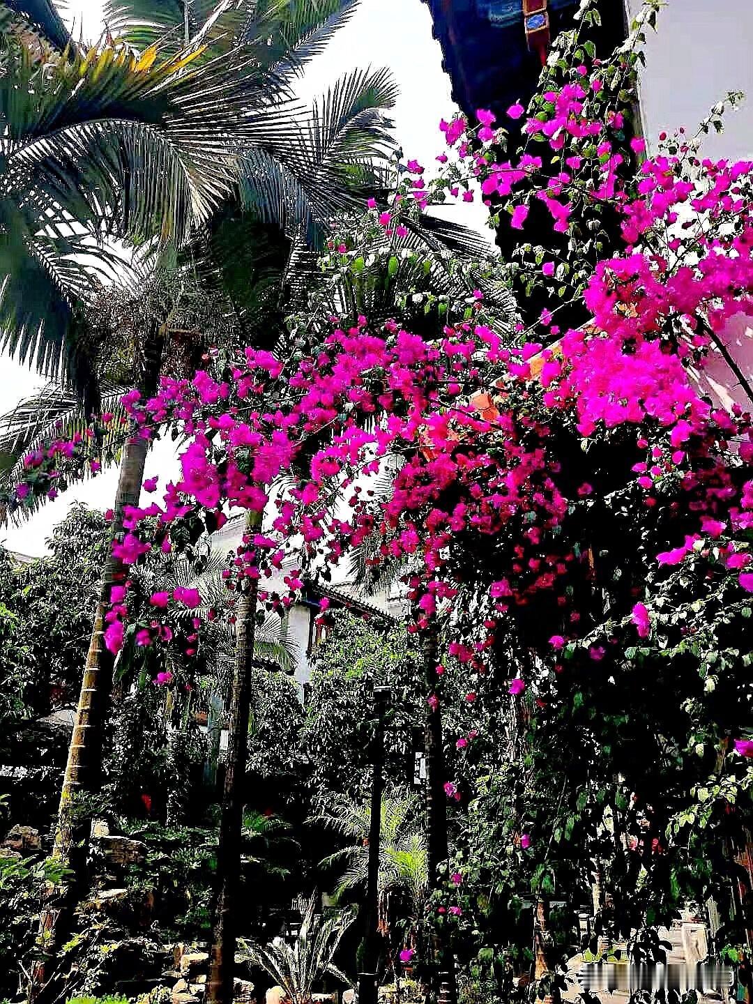 今天是11月1号。就从今天开始，好多事情可能都会有一些不同的感受和不一样的变化。