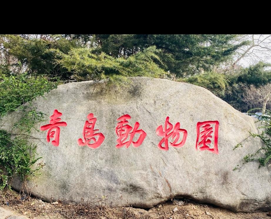 因系统升级，5月23日（周六）至5月27日（周三），青岛动物园人工售票窗口将暂停
