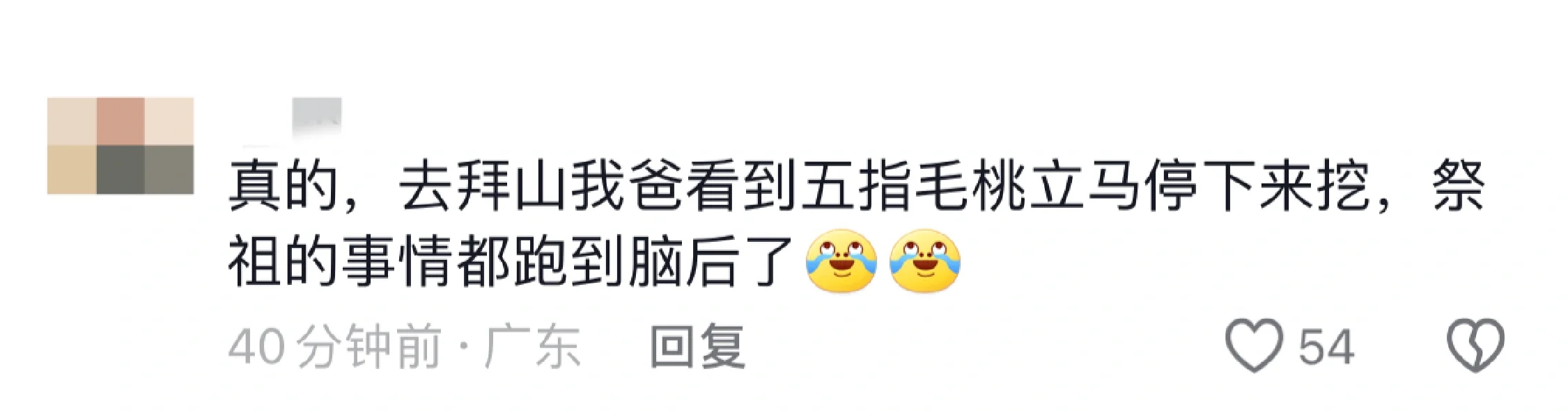 华南F3祭祖有多好笑