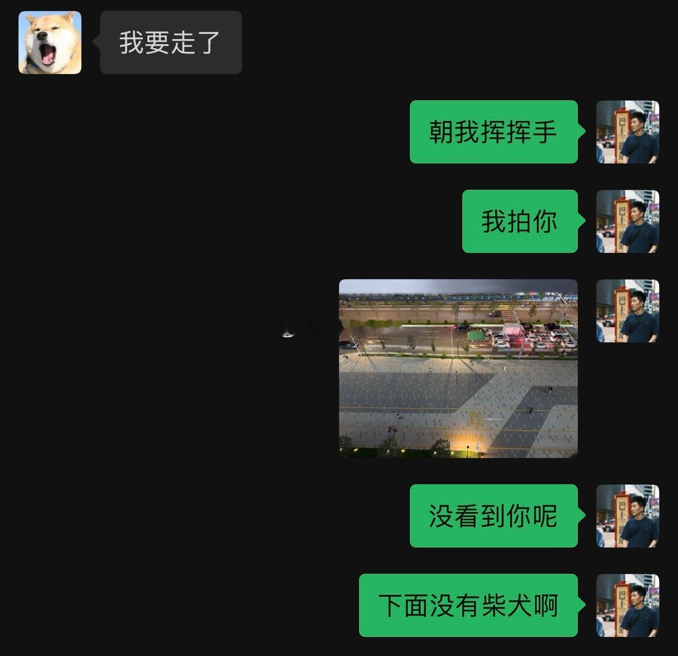 能不能行啊，半天没找到柴犬！来都来了，不能把我捎回去吗？ 